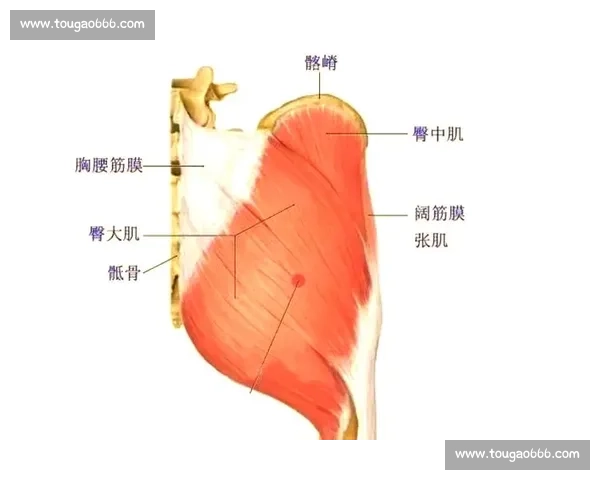 以周期训练为核心提升运动表现与身体适应能力的系统方法