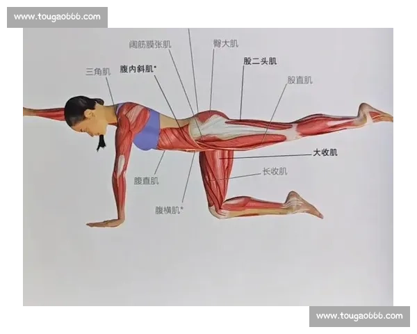 以训练周期为核心优化方案提升运动效果与身体素质