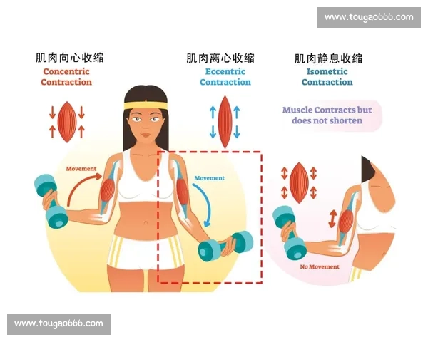 全面提升运动表现的科学训练方法与实用技能解析